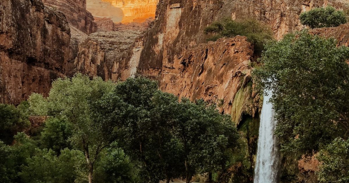 Serena Williams - Inspiring Words from a Champion Image