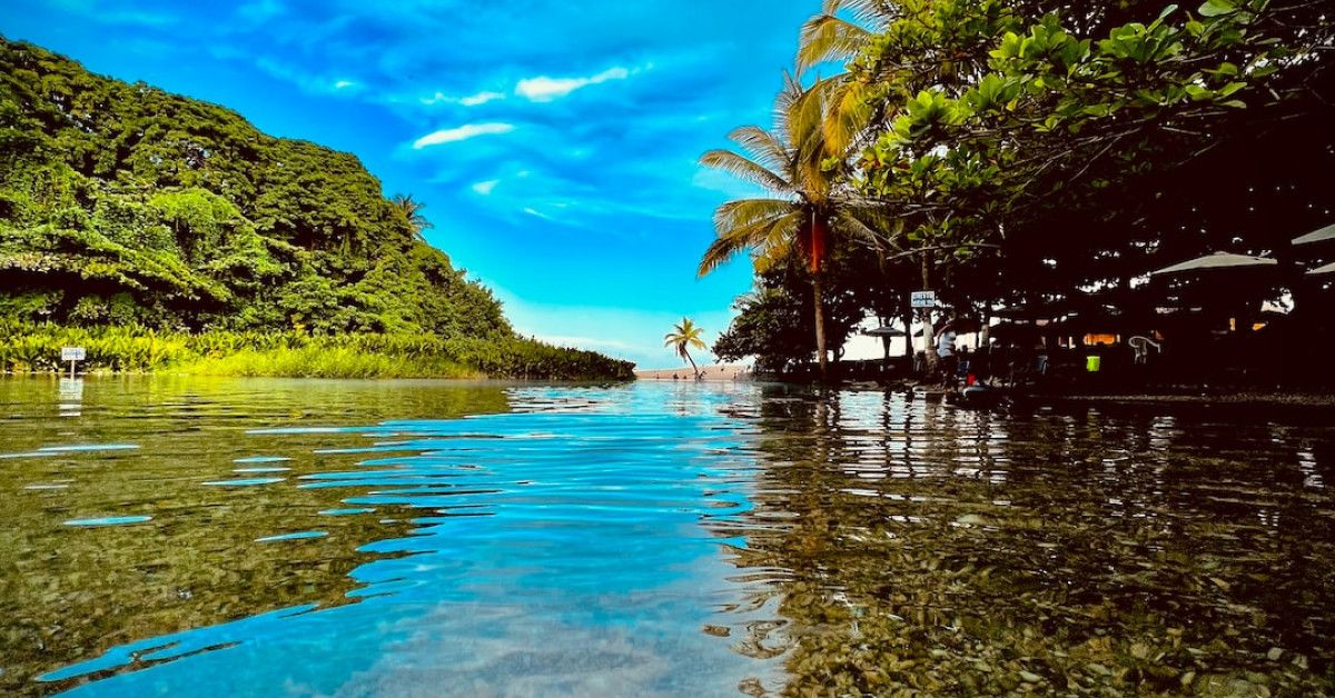 Inspirational quotes about the joy of reading by Dr. Seuss