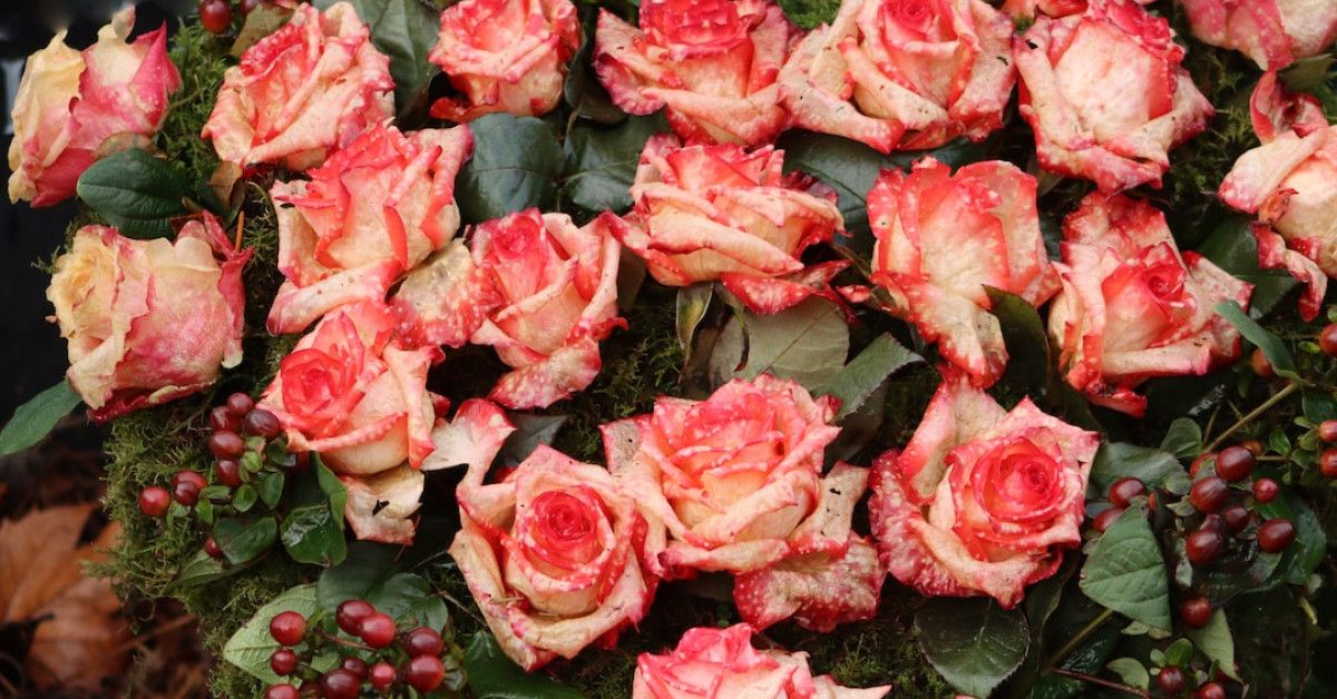 Quote Meaning and Implications: Analysis of Given Responsibilities and Duties.