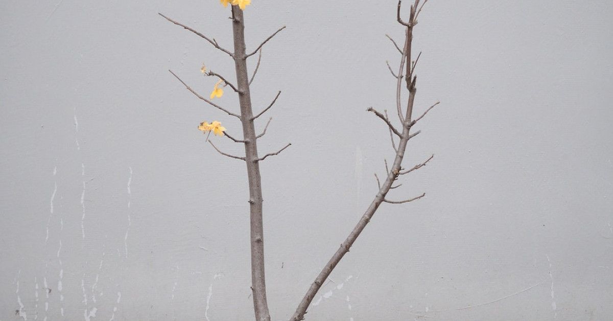 Transform your mindset with empowering quotes for personal growth.