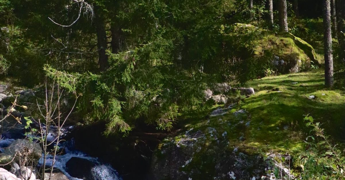 Empowering graphic - believe in yourself and achieve success.