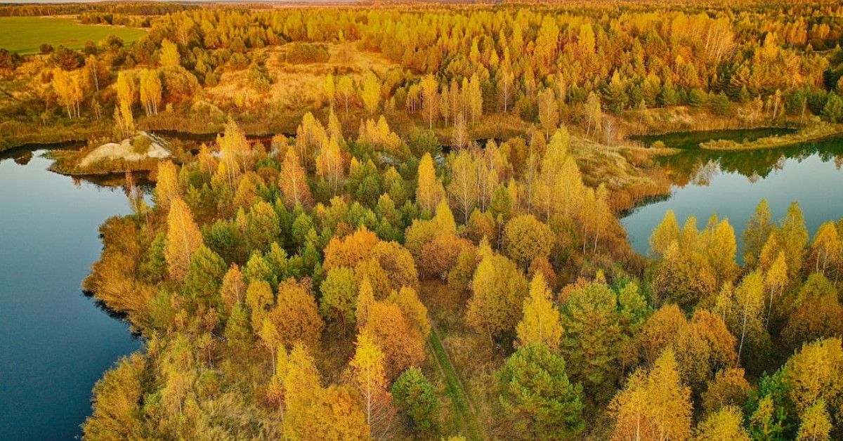 Unlock your future with exciting careers at SelectQuote.