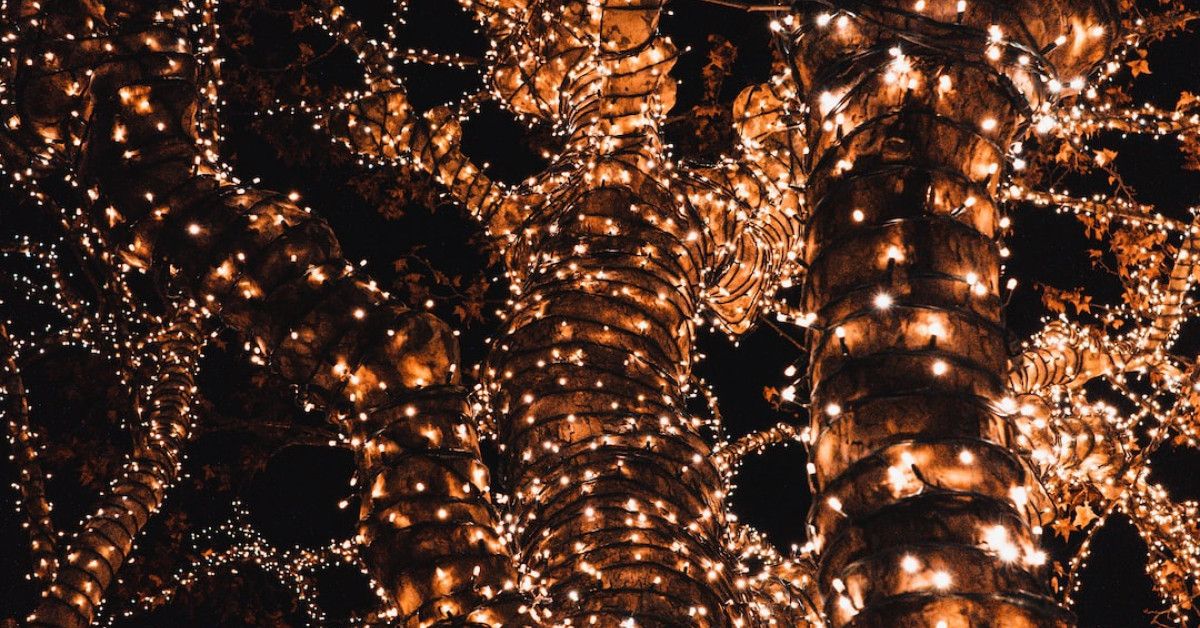 "Lana Del Rey portrait with insightful quotes overlay."